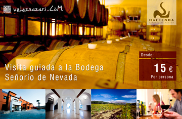 Visita a la bodega Seoro de Nevada