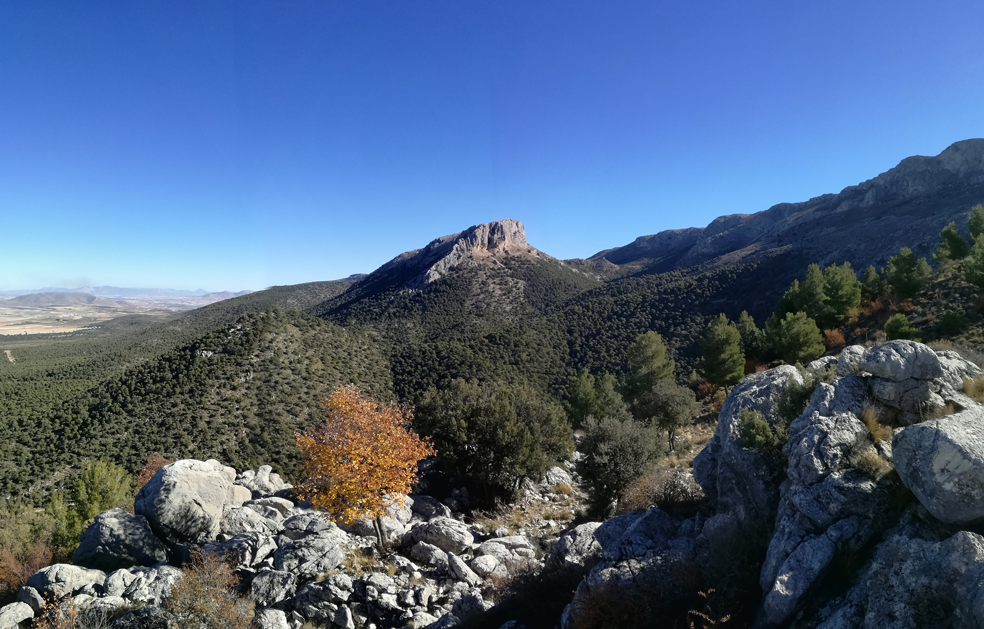 Ruta de Senderismo Iznalloz  El Sotillo sierra Arana